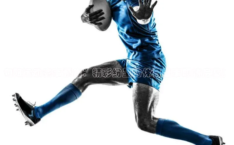 QY球友会(体育)官方网站