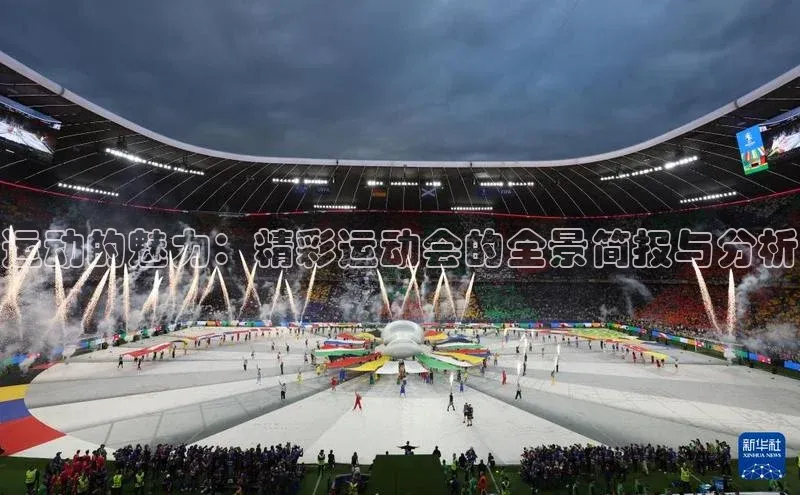 qy球友会体育官网下载