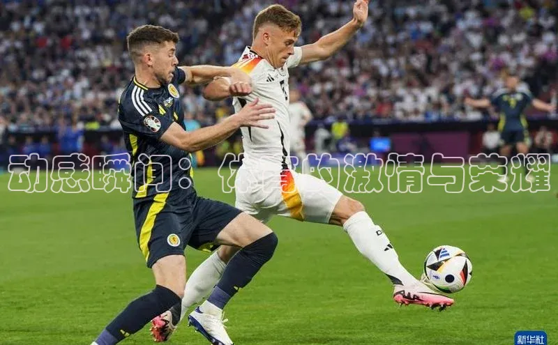 QY球友会体育网址