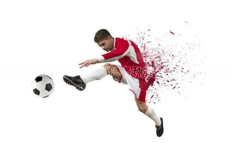 qy球友会app官网