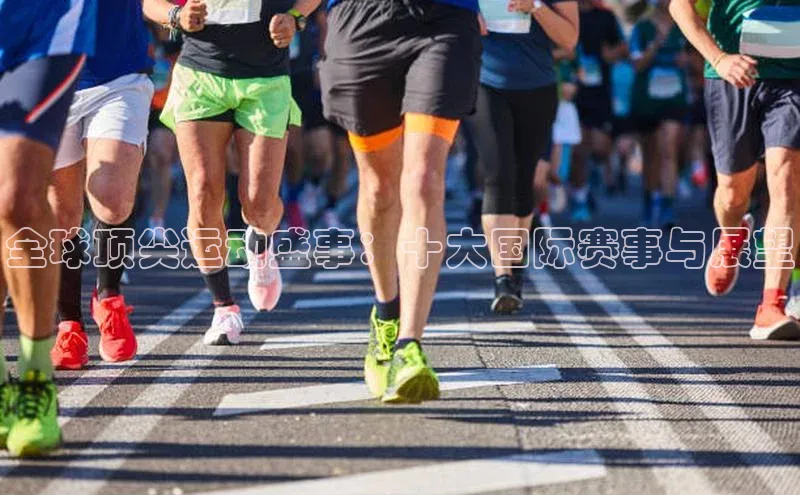 qy球友会(中国)官方网站