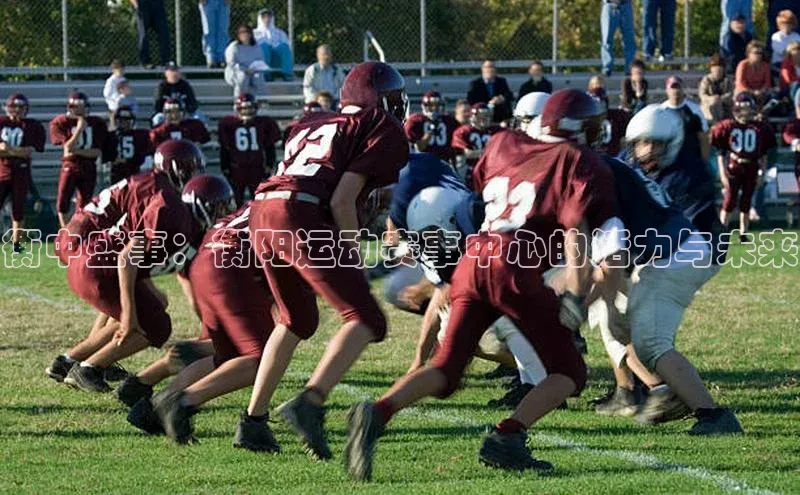 qy球友会app官网