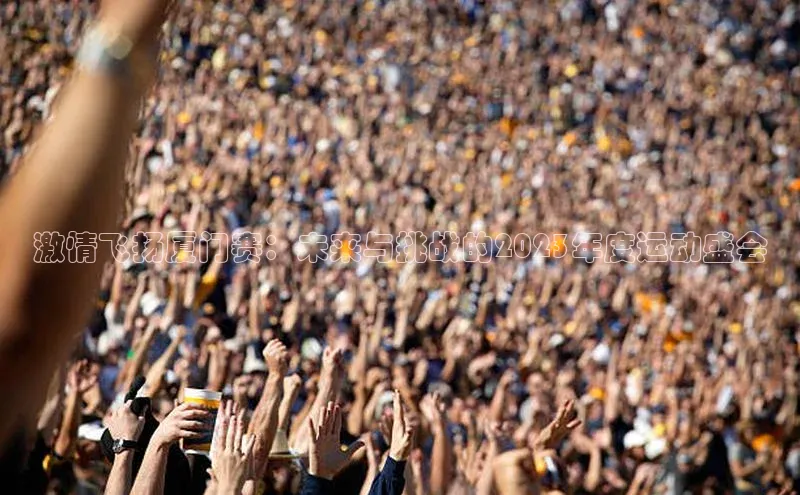 激情飞扬厦门赛：未来与挑战的2023年度运动盛会
