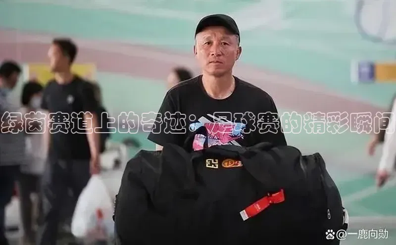 绿茵赛道上的奇迹：足球赛的精彩瞬间